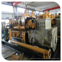 Génératrices industrielles Assemblage standard Usine de biogaz Chine Lvhuan 250kw Générateur de moteur à biogaz pour déchets ménagers et animaux